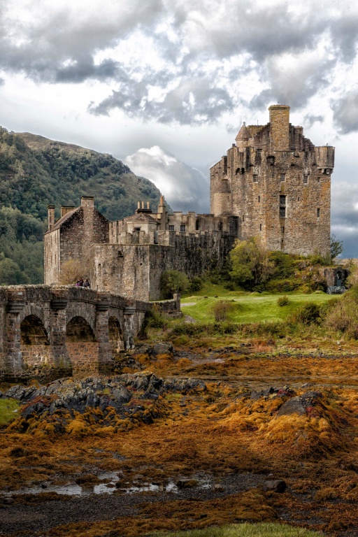 Elleann Donan, Castle